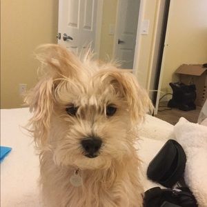 Meet your Posher, Bonniebonnie